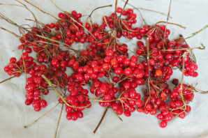 Калина на зиму без варки Калина на зиму без варки