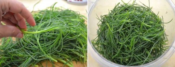 
Омлет на сковороде с сыром — 5 рецептов с овощами	