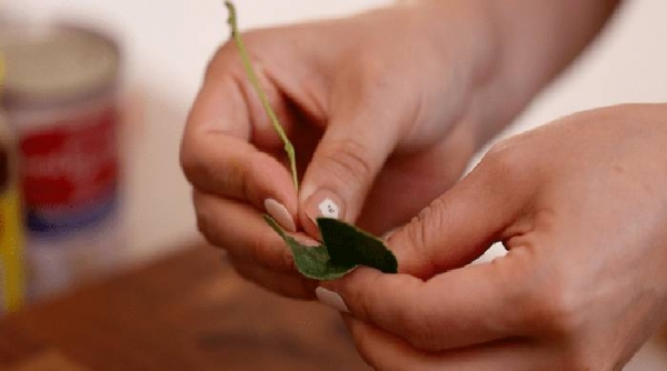 
Том Ям — простой рецепт в домашних условиях с креветками	