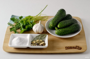 Соление огурцов