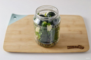 Соление огурцов