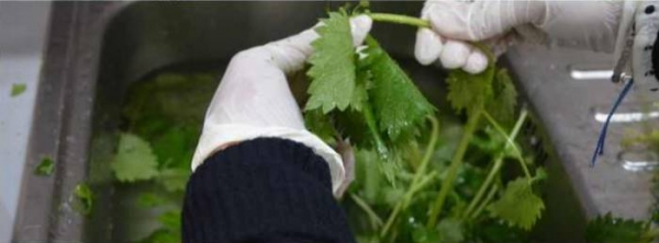 
Омлет в духовке с сыром, простые и вкусные рецепты с фото	