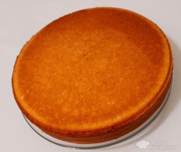 Рецепт: Торт "Кошечка" на день рождения девочке - Бисквитный торт "Кошечка" с масляным кремом и черешней. И кексы "Кошачьи лапки".