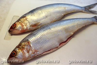 Рулет из сельди в горчичном маринаде, запеченный в духовке