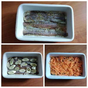 "Благородная путассу"