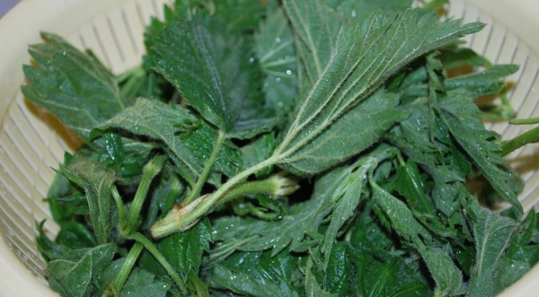 Чуду с крапивой и творогом, пошаговый рецепт с фото