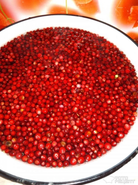 Рецепт: Брусника, протертая с сахаром - Свежая брусника без варки на зиму Рецепт: Брусника, протертая с сахаром - Свежая брусника без варки на зиму