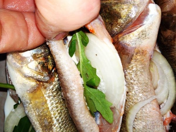 Рецепт: Окунь речной запеченый - "Ленивый" окунь с рукколой и луком, запеченный в пакете