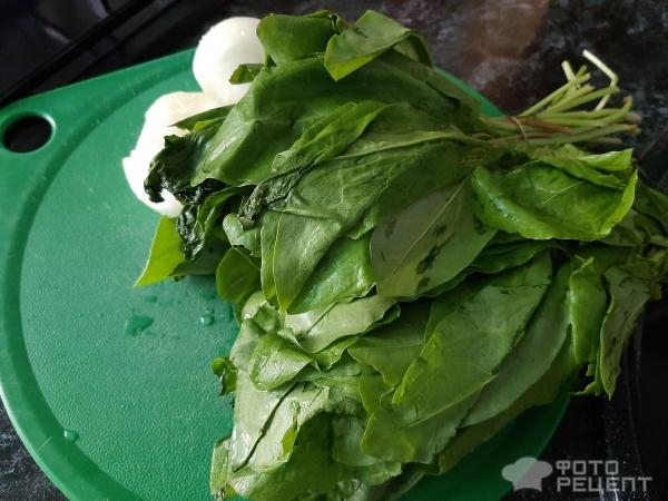 Рецепт: Щи из щавеля - на курином бульоне