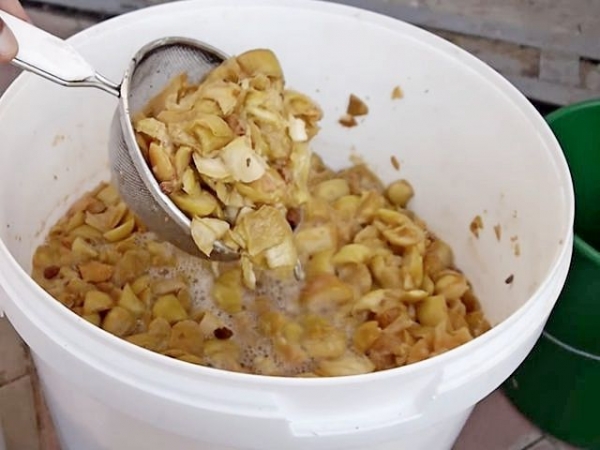 
Вино из яблок в домашних условиях своими руками — простой рецепт приготовления	