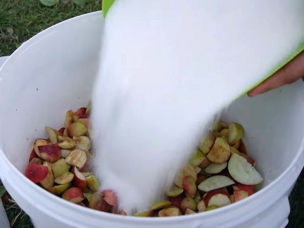 
Вино из яблок в домашних условиях своими руками — простой рецепт приготовления	