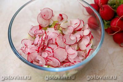 Салат из редиски с огурцом, яйцом и плавленым сырком Салат из редиски с огурцом, яйцом и плавленым сырком