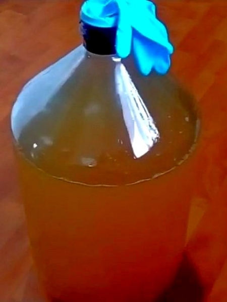 
Вино из яблок в домашних условиях своими руками — простой рецепт приготовления	