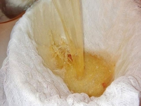 
Вино из яблок в домашних условиях своими руками — простой рецепт приготовления	