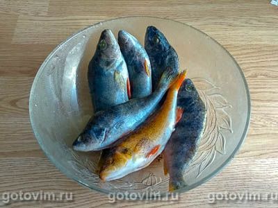 Уха из окуней и ершей