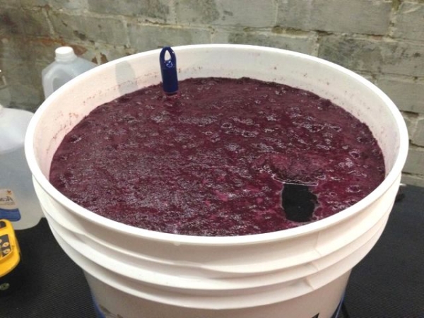 
Вино из винограда своими руками — рецепт приготовления в домашних условиях	