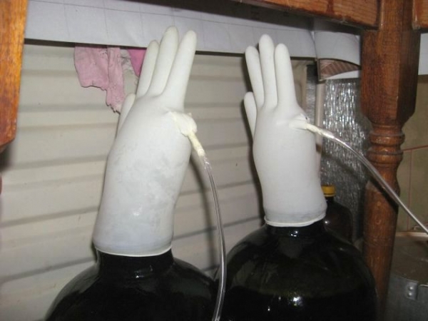 
Вино из винограда своими руками — рецепт приготовления в домашних условиях	