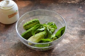 Огурцы с базиликом на зиму Огурцы с базиликом на зиму