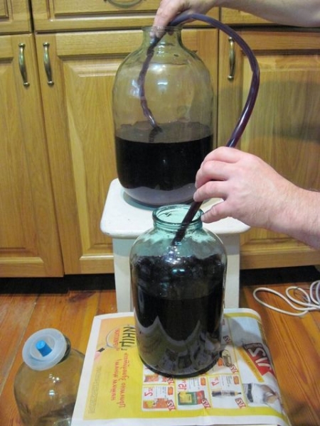 
Вино из винограда своими руками — рецепт приготовления в домашних условиях	