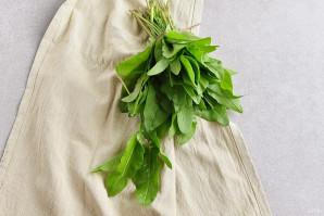 Щавель на зиму без соли