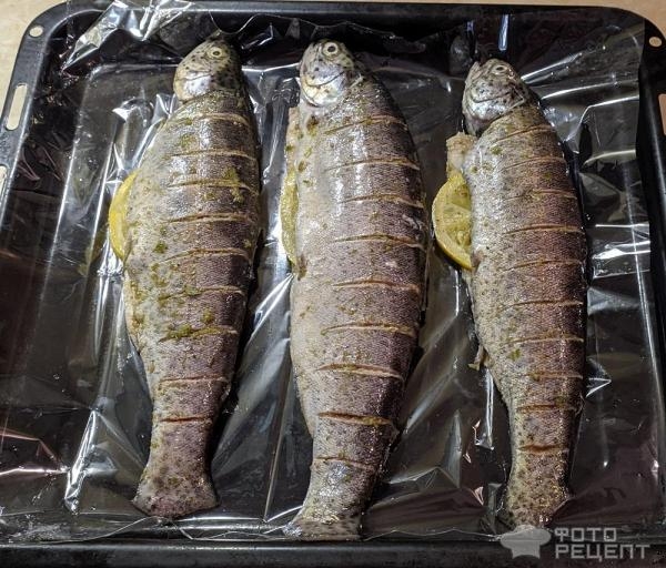 Рецепт: Форель, запеченная в духовке - со сливочным маслом и пряностями