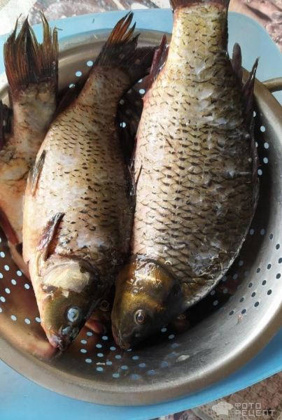 Рецепт: Карп запеченный - в духовке со сметаной и луком. Рецепт: Карп запеченный - в духовке со сметаной и луком.