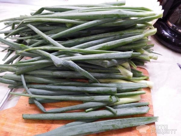 Рецепт: Зеленый лук в заморозку - Зимой как найдете