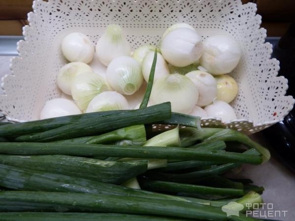 Рецепт: Зеленый лук в заморозку - Зимой как найдете