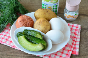 Окрошка с маринованными огурцами