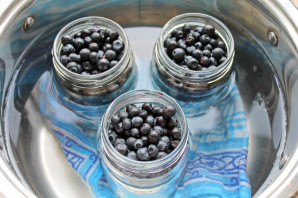 Черника без сахара на зиму