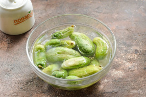 Засолка огурцов родниковой водой