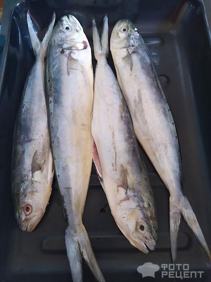 Рецепт: Рыба Охотник с помидорами - в дкховке Рецепт: Рыба Охотник с помидорами - в дкховке