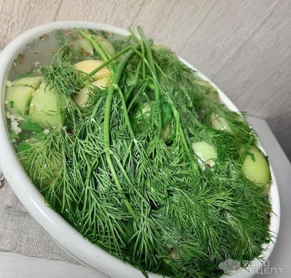 Рецепт: Зеленые помидоры маринованные - быстрое приготовление