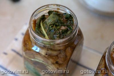 Соленые польские грибы в банке