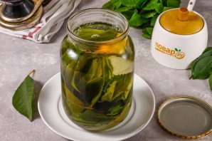 Компот из листьев вишни на зиму Компот из листьев вишни на зиму