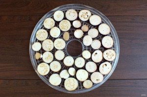 Сушка баклажанов в электросушилке Сушка баклажанов в электросушилке