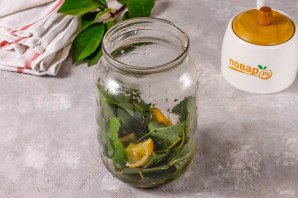 Компот из листьев вишни на зиму Компот из листьев вишни на зиму