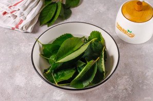 Компот из листьев вишни на зиму Компот из листьев вишни на зиму