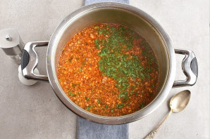 Харчо из говядины с ткемали