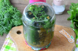 Огурцы с щавелем на зиму