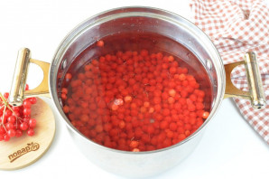 Компот из калины