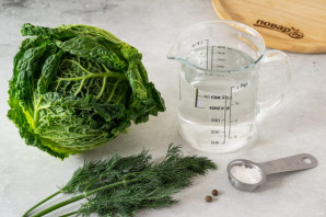 Савойская квашеная капуста