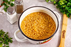 Суп из чечевицы с молоком Суп из чечевицы с молоком