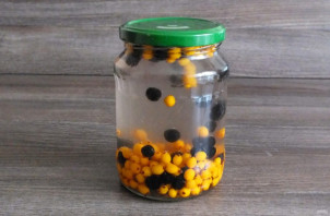 Компот из облепихи и черноплодной рябины