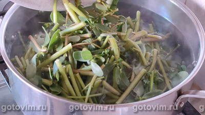 Портулак маринованный