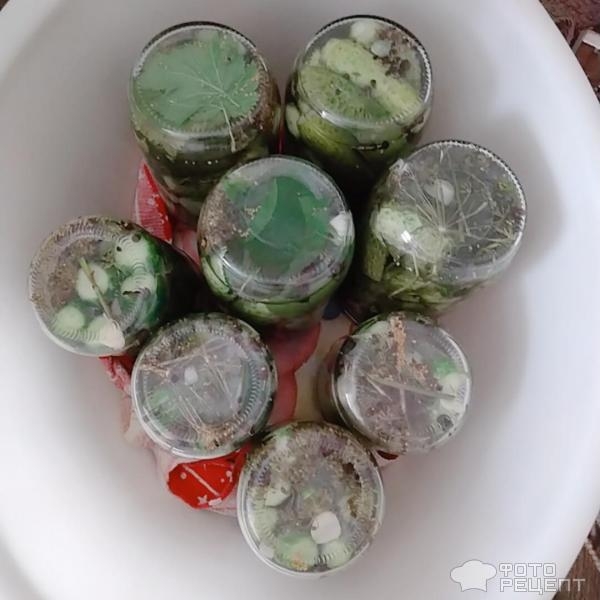 Рецепт: Маринованные огурчики - Хрустящие, с зёрнами горчицы. Рецепт: Маринованные огурчики - Хрустящие, с зёрнами горчицы.