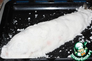 Терпуг в соляном панцире