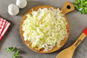 Щи с солеными огурцами и свежей капустой