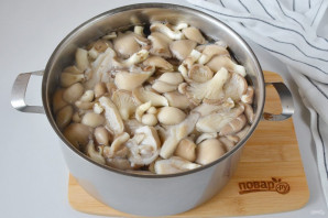 Соленые вешенки на зиму