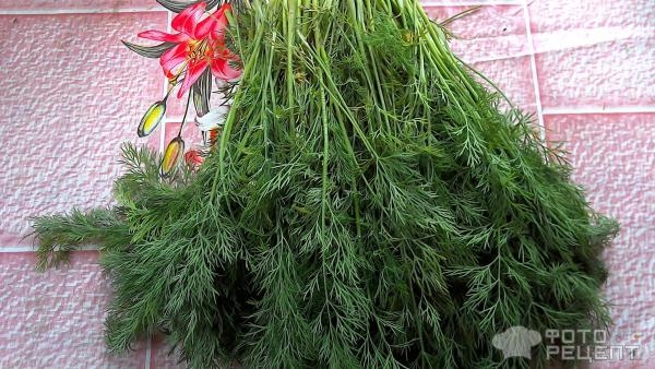 Рецепт: Сухая засолка зелени - Простая заготовка укропа на зиму без заморозки и сушки. Рецепт без весов.